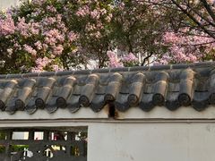 -森林公园(尖草坪区)