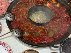 -肥龙火锅(南坪店)