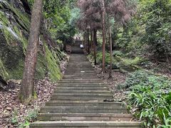 -缙云山景区