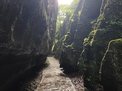 -山王坪喀斯特国家生态公园