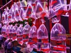 -华声天桥民俗文化园