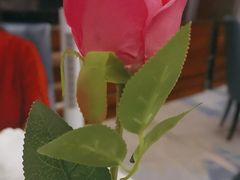 -粤菜王府·海鲜·茶市·海景餐厅(大梅沙店)