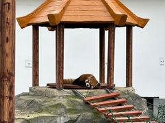 -杭州野生动物世界