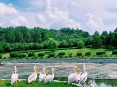 -哈尔滨北方森林动物园