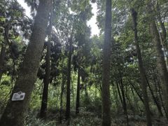 -青城山