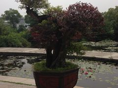 -白马涧龙池景区