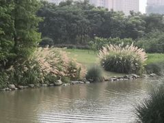 -九里河湿地公园