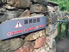 -都江堰中华大熊猫苑