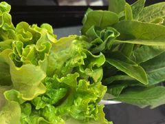 -八合里潮汕鲜牛肉火锅(广州五羊邨店)