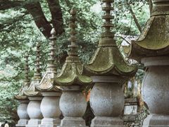 -天台山赤城山景区