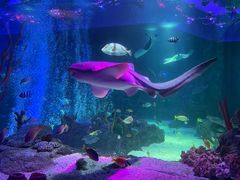 -沈阳海洋探索中心