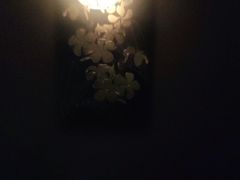 -泰合玺·精油疗愈SPA(南京光环花园城店)