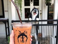 -TrueLove @ Neverland (Husky Cafe)