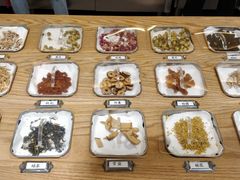 -1828王老吉·草本新茶(珠江新城地铁站店)