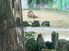 -黔灵山公园