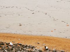 -北岐滩涂