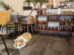 -肥朵食堂(带梦胡同店)