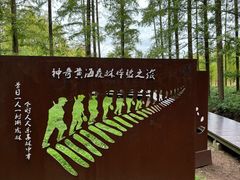 -黄海国家森林公园