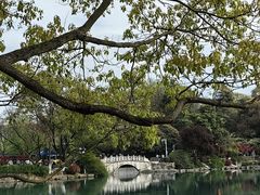 -南京珍珠泉风景区