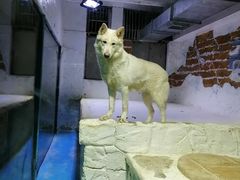 -大连圣亚海洋世界