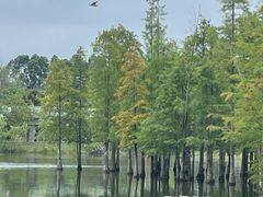 -白鹭湾湿地公园