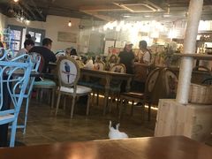 大堂-共舞时光猫咖·狗咖(新街口店)
