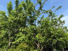 -丝绸小镇荻港古村
