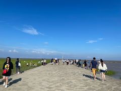 -南汇嘴观海公园