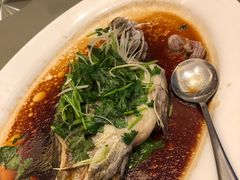 -沙龙酒家