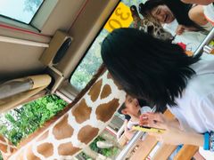 -清迈夜间动物园