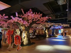 -蓝鲸湾汤泉(包河店)