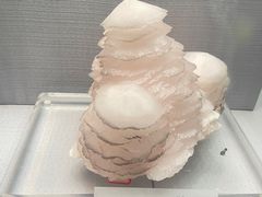 -湖南省地质博物馆