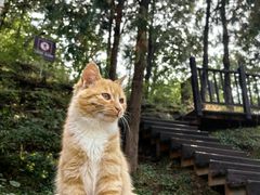 -北京十三陵国家森林公园蟒山景区