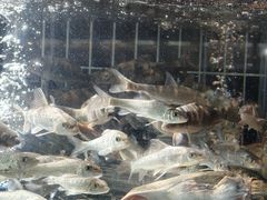 -湘轩·土菜研究院(光大店)