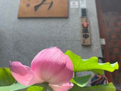 -希望日本料理(保利香槟花园店)