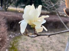 -白塘生态植物园