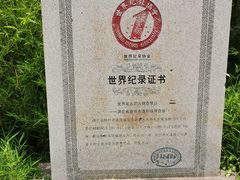 -千年银杏谷文化旅游区