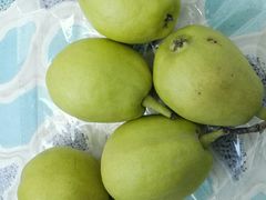 香梨-金旭菜市场