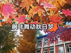 -东北大学(南湖校区)