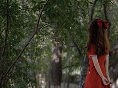 -长白岛森林公园