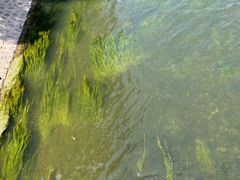 -汉长安城未央宫国家考古遗址公园