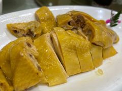 白斩鸡-顺风海鲜港(金玉兰店)