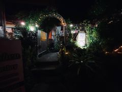 -Jungle Kitchen