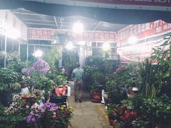 -中环花鸟鱼虫市场