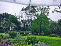 -云溪植物园