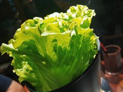 -九田家黑牛烤肉料理(新辰里亚运村店)