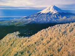 -富士山吉田線五合目