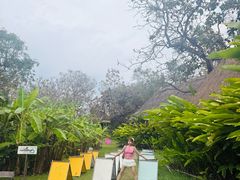 -大象粑粑造纸公园