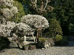 -成田山新胜寺