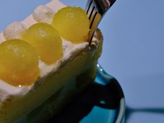 日本玫珑蜜瓜蛋糕-青山研究所Aoyama Lab